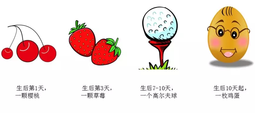 1545129326386007.jpg 640.webp (5).jpg