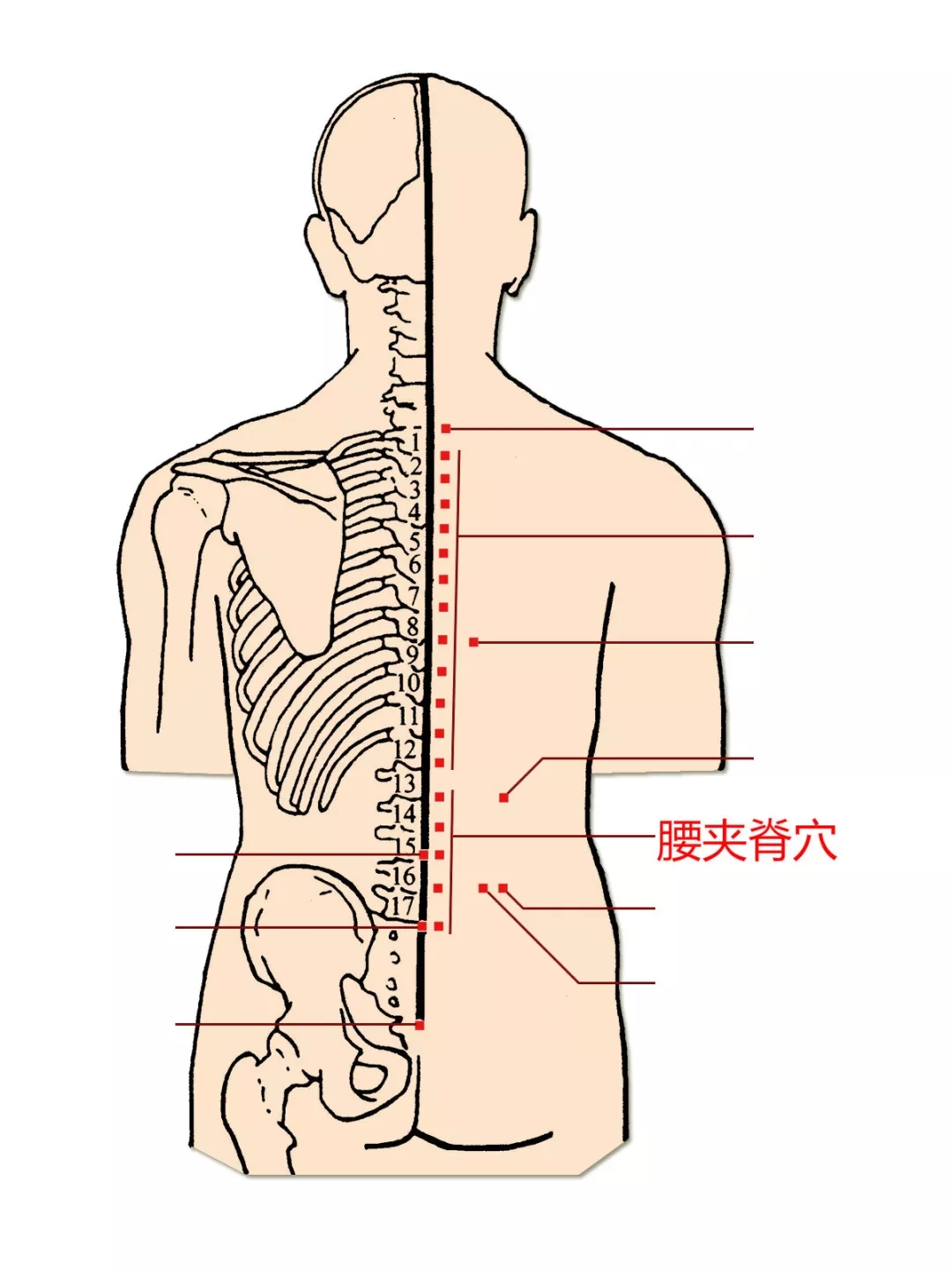 640.webp (3).jpg
