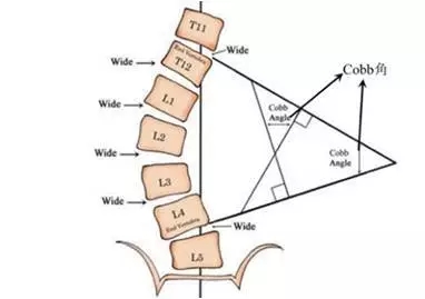 1550832517523567.jpg 640.webp (2).jpg