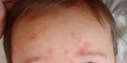 1551789318106789.jpg 640.webp (7).jpg