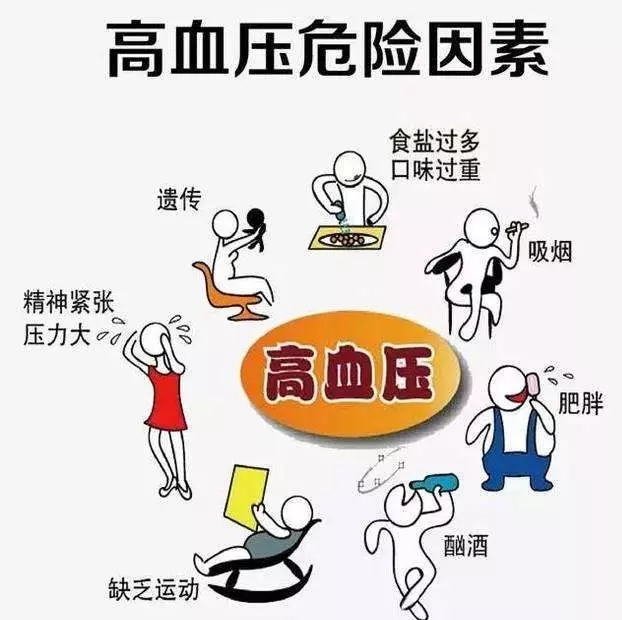 1551791276247390.jpg 640.webp (23).jpg