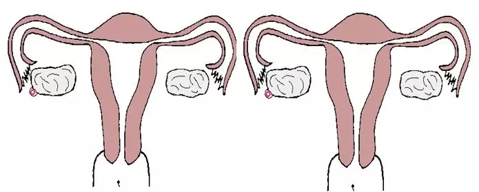 640.webp (18).jpg
