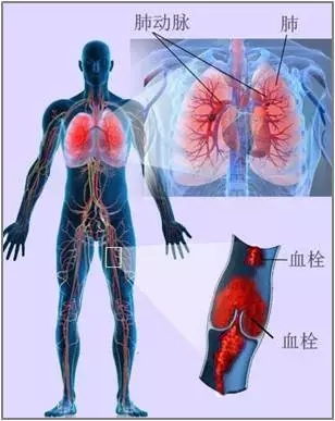 640.webp (10).jpg