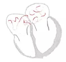 1552736569120635.jpg 640.webp (5).jpg