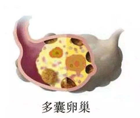 1553081819208561.jpg 640.webp (22).jpg