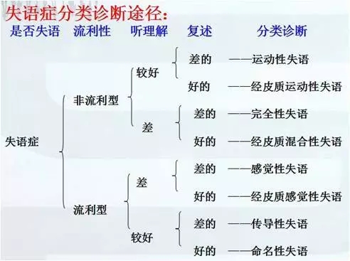 640.webp (11).jpg