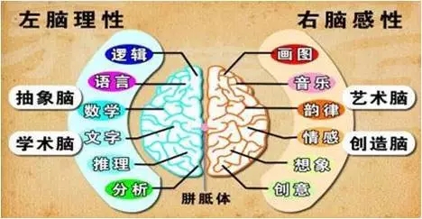 640.webp (12).jpg