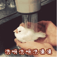 640 (7).gif