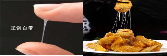 1555764311336900.jpg 640.jpg