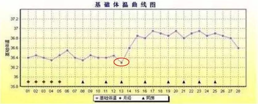 640.webp (1).jpg