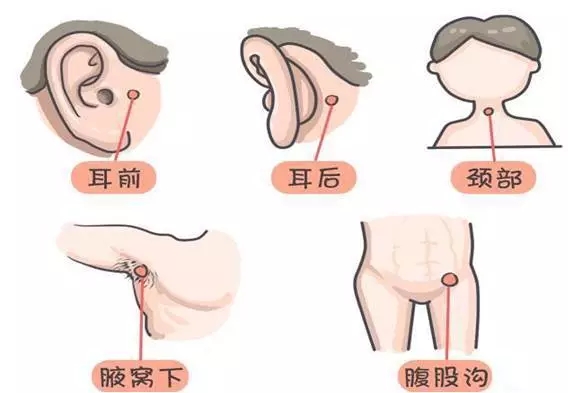 1556107834434995.jpg 640.webp (8).jpg