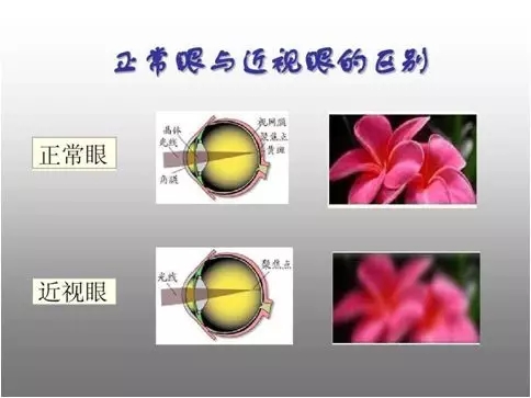 640.webp (18).jpg