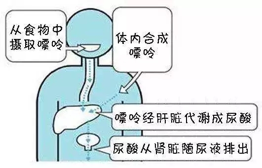 1559051143395792.jpg 640.webp (16).jpg