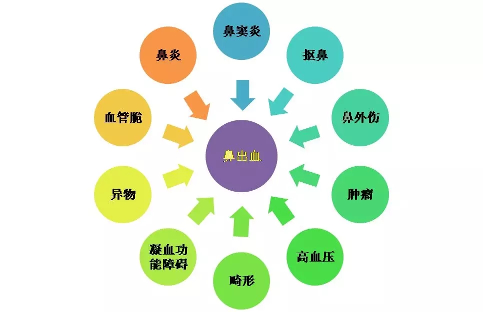 640.webp (12).jpg