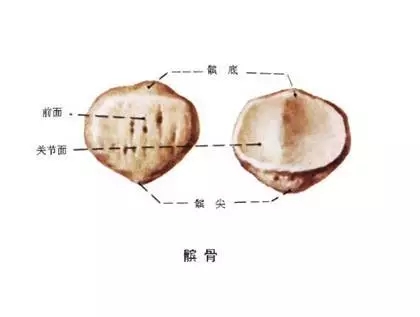 1560697065970142.jpg 640.webp (22).jpg