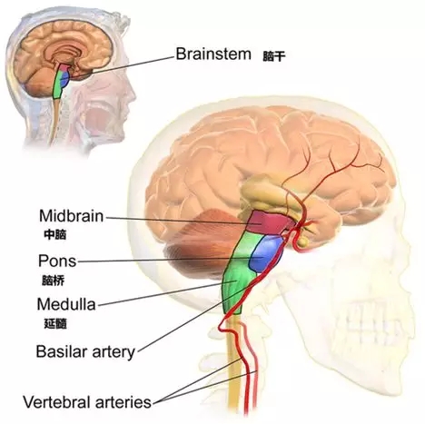 1566351289646858.jpg 640.webp (4).jpg