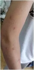 1566454276832550.jpg 640.webp (57).jpg
