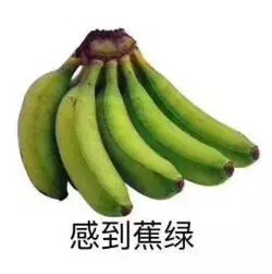 1566884629904711.jpg 640.webp (85).jpg