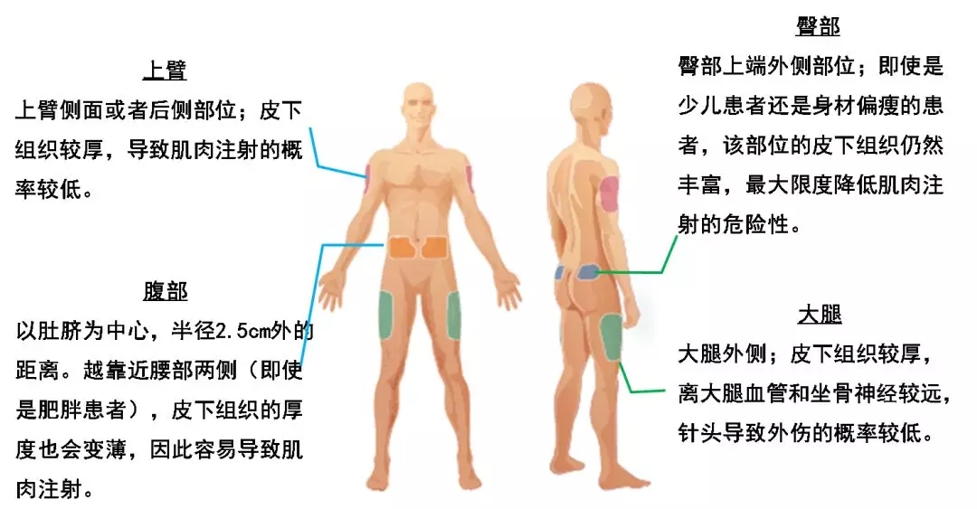 640.webp (6).jpg