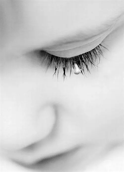 640.webp (31).jpg