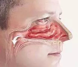 640.webp (33).jpg