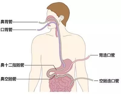 640.webp (6).jpg