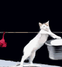 640.gif