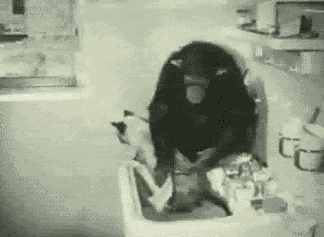 640 (1).gif