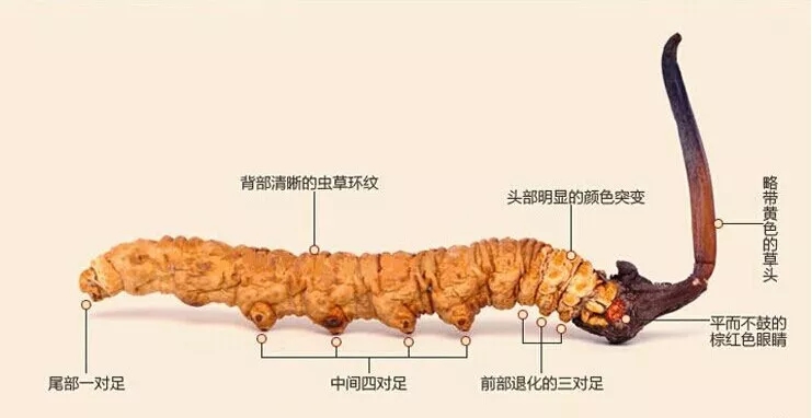 1571713804675308.jpg 640.webp (10).jpg