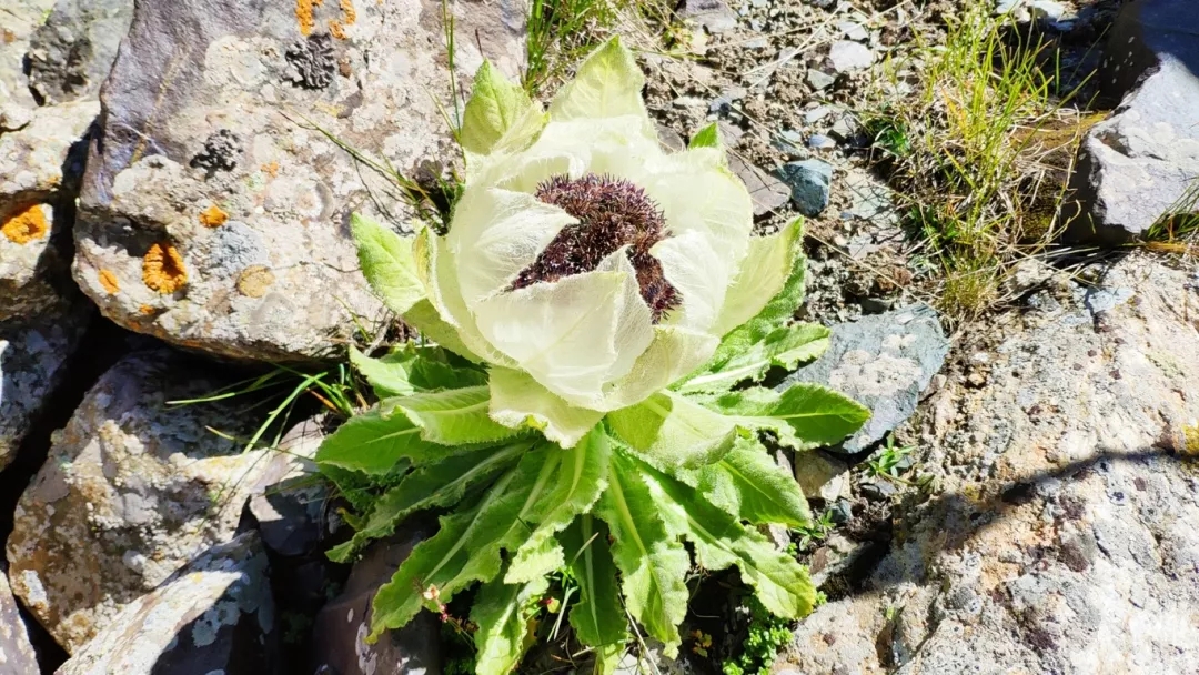 1571713834577844.jpg 640.webp (14).jpg