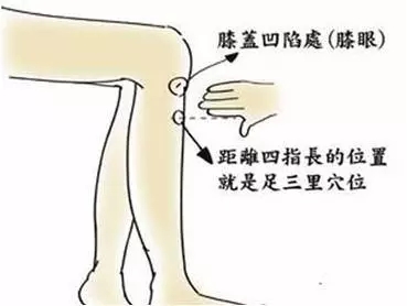 640 (1).webp (14).jpg