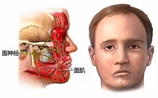 640.webp (12).jpg