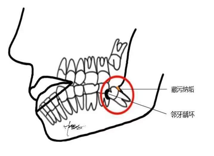1573561921450235.jpg 640 (1).webp (5).jpg