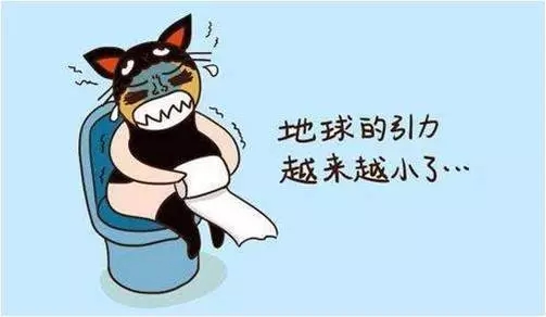 5.webp.jpg