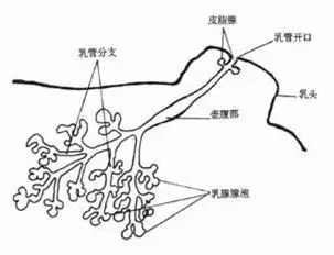 1575809568586183.jpg 640 (3).webp (8).jpg