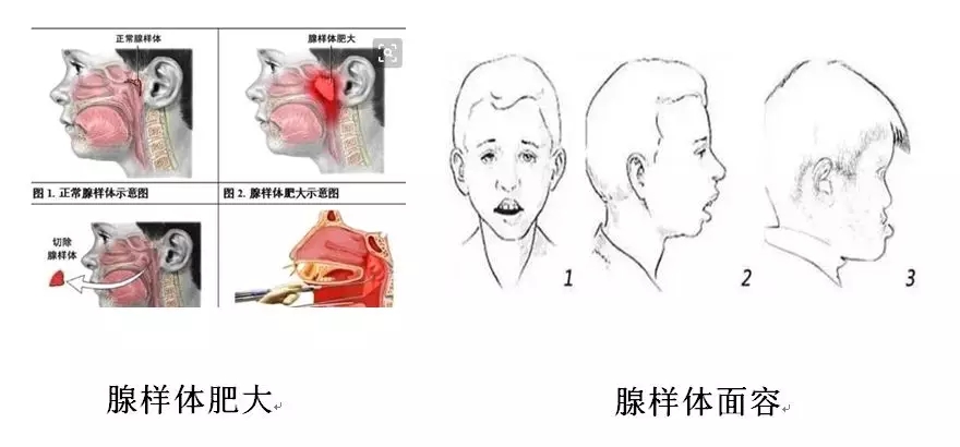 1577709308337907.jpg 640.webp (4).jpg