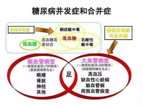 640.webp (16).jpg
