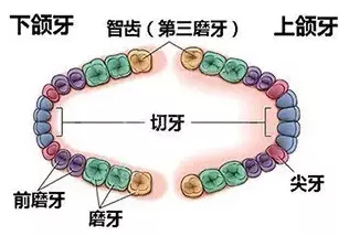 微信图片_20200208171320.png