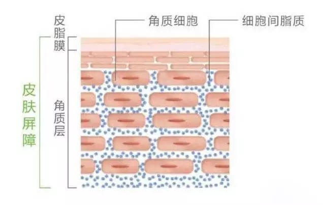 640.webp (9).jpg