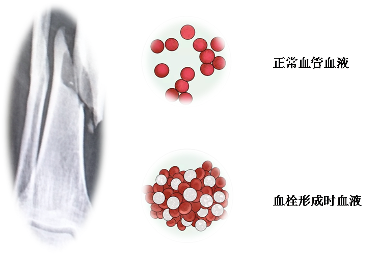640 (2).png