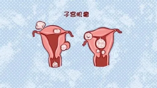 640.webp (21).jpg