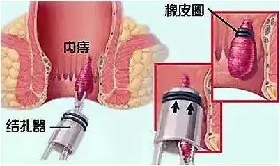 640.webp (10).jpg
