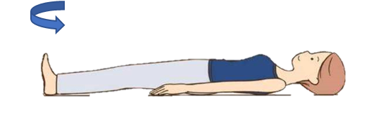 1593001796726306.png 640 (10).png