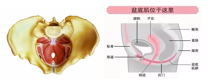1593090741684639.png 640 (13).png