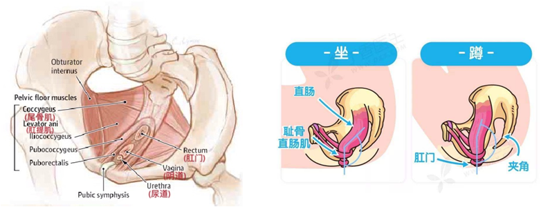 1593090745426153.png 640 (14).png