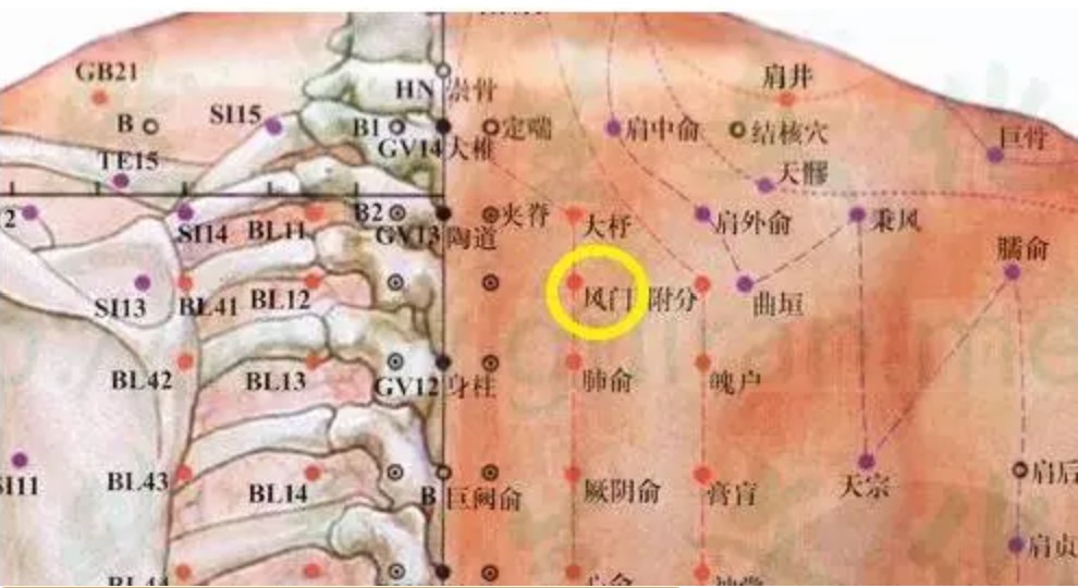 批注 2020-06-28 125353.jpg
