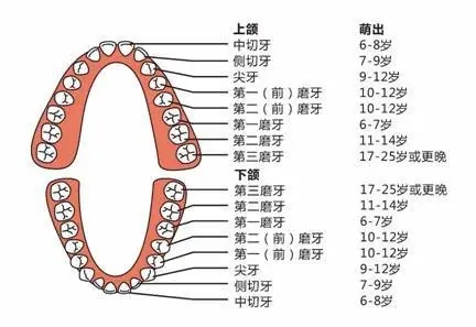 640.webp (2).jpg