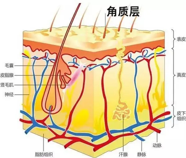 1597640194228363.jpg 640.webp (8).jpg