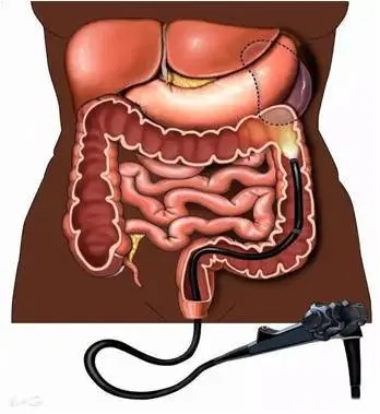 640.webp (22).jpg