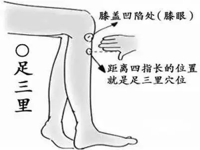 640.webp (32).jpg